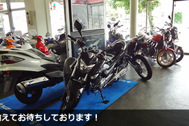 50cc〜逆輸入車まで取り揃えてお待ちしております！